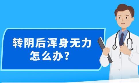 新澳精准免费资料提供-精选解析、解释与落实