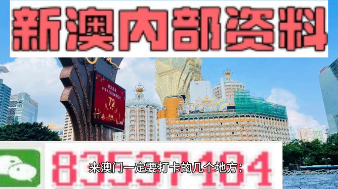 2025新澳门正版精准免费大全,和平解答解释与落实展望