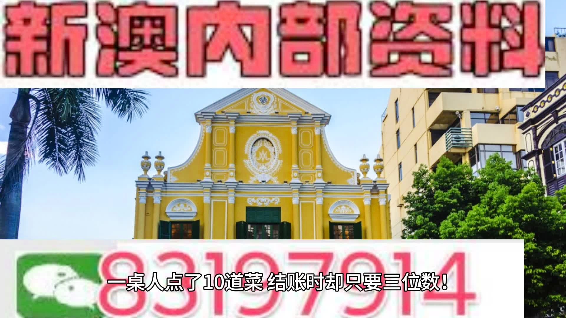 新澳全年资料彩免费资料查询85期,民主解答解释与落实展望