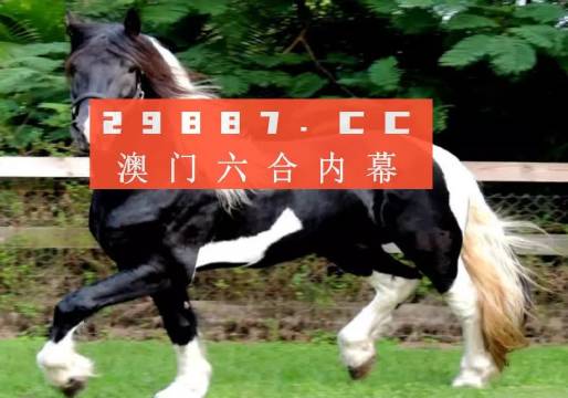 澳门和香港一肖一特一码一中,和平解答解释与落实展望