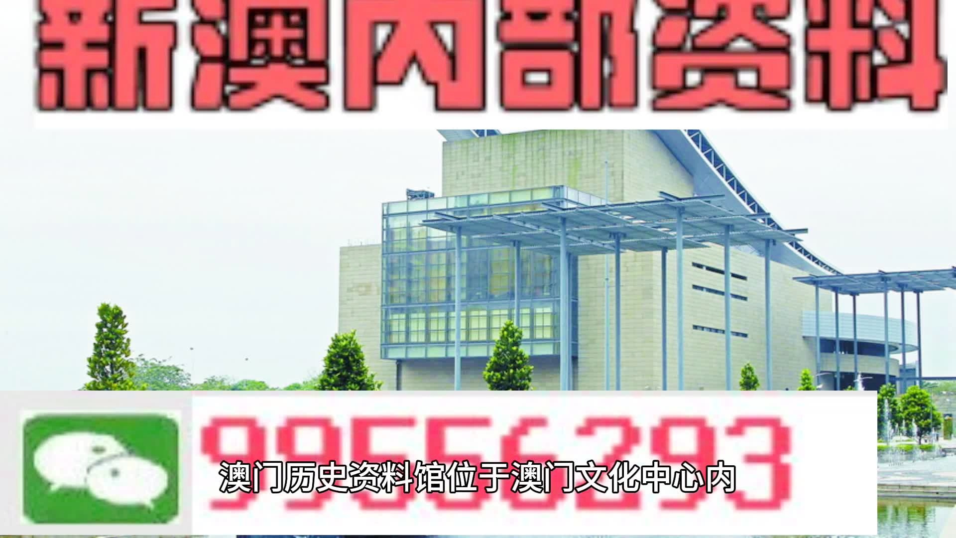 2025新澳门全年资料精准正版,词语释义解释与落实展望