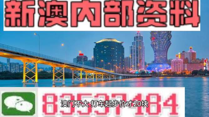 2025年新澳门天天免费精准大全,富强解答解释与落实展望