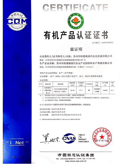 2025澳门和香港特马今晚开奖,公证解答解释与落实展望